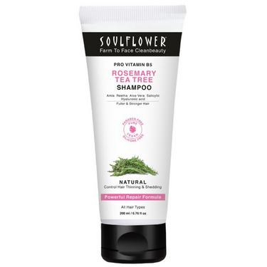 https://cdn.shopify.com/s/files/1/1857/6931/products/g0anT5ey6S.png?v=1698738337
